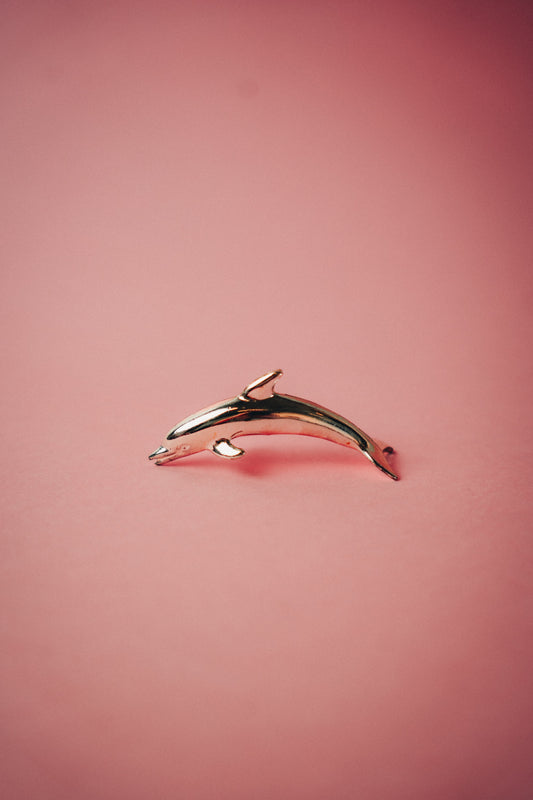 dolphin namecard holders