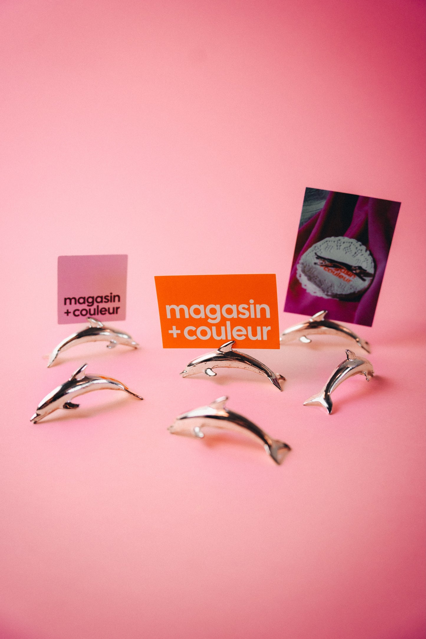 dolphin namecard holders