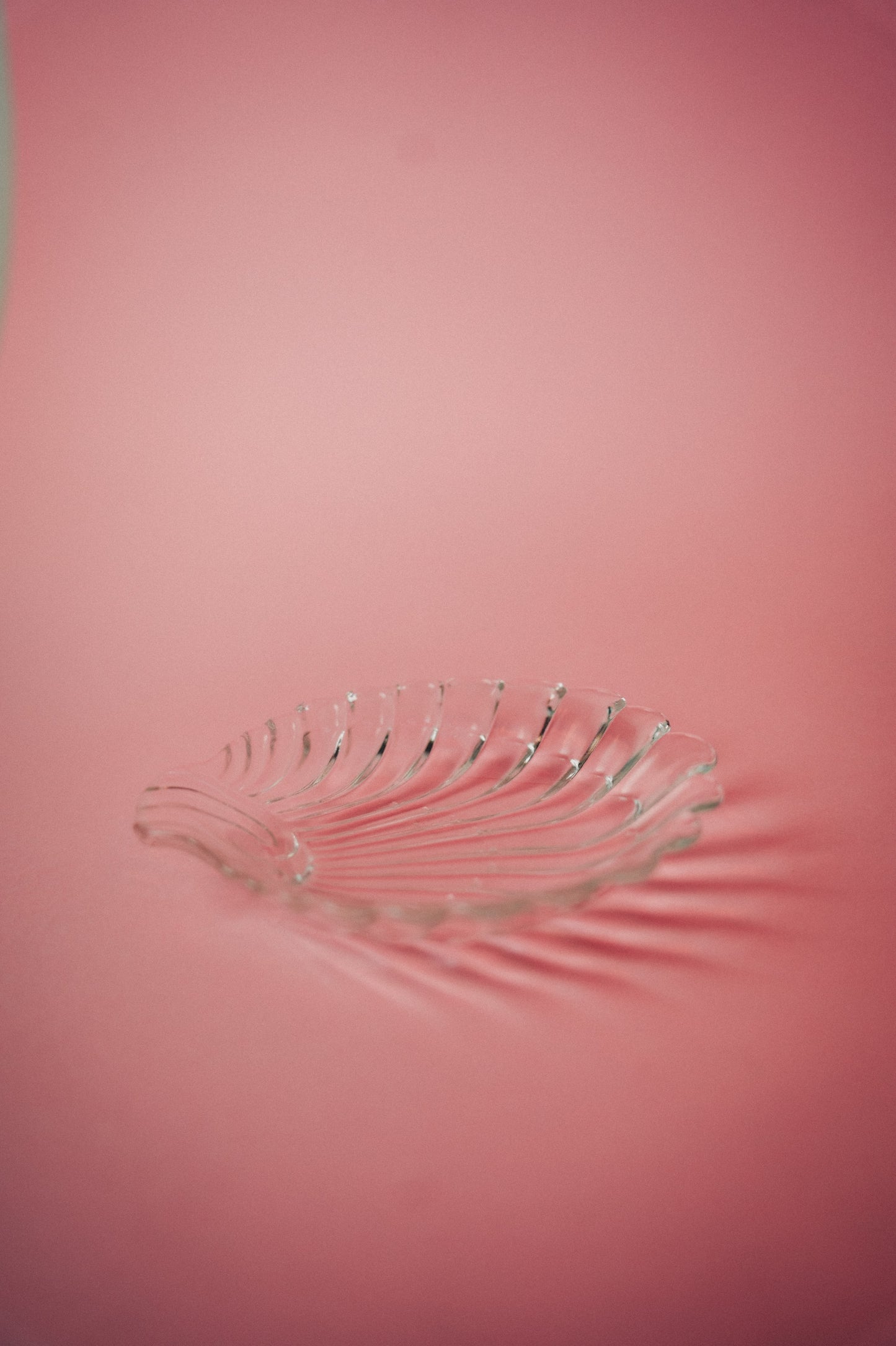 shell dish