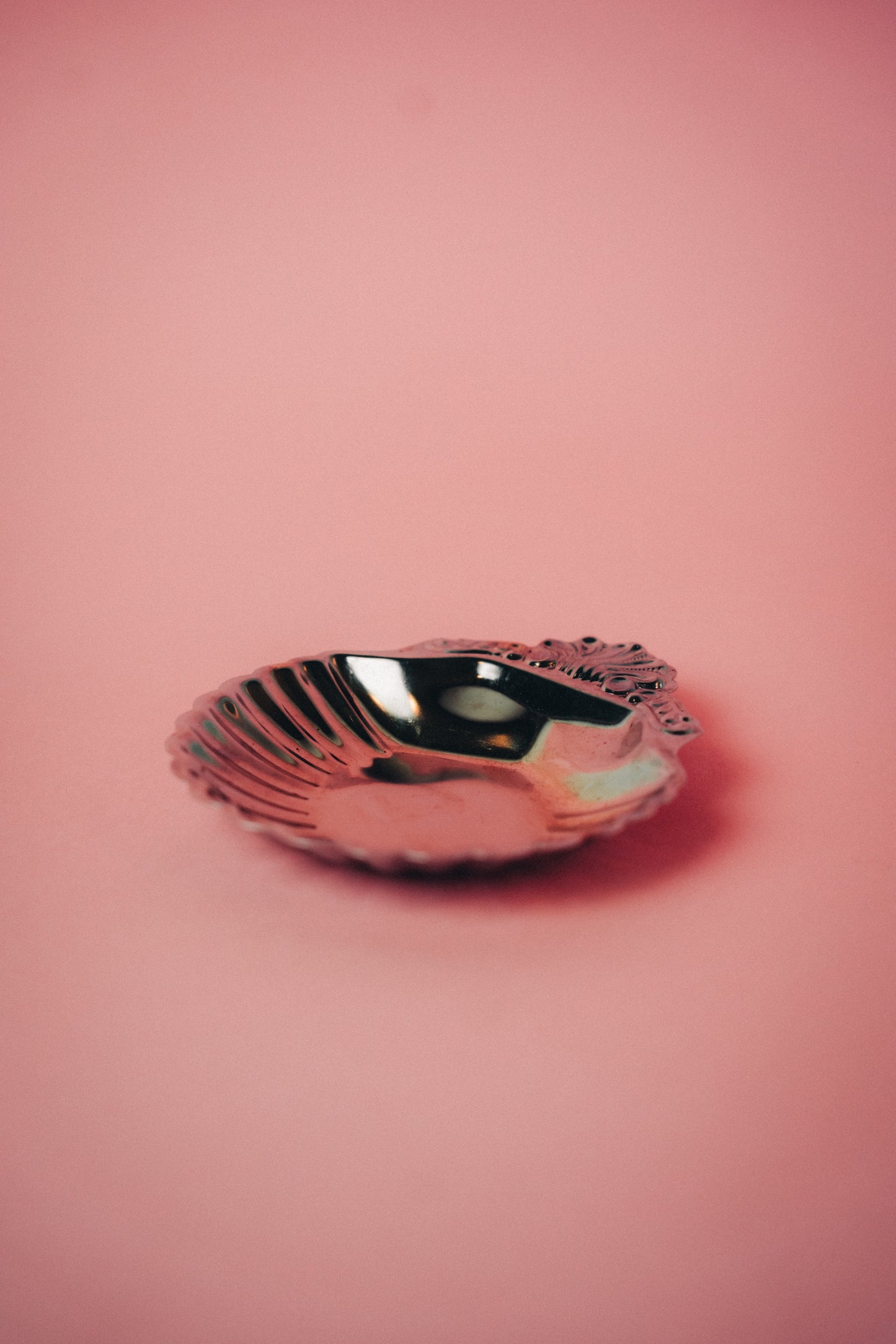 shell dish stainless steel