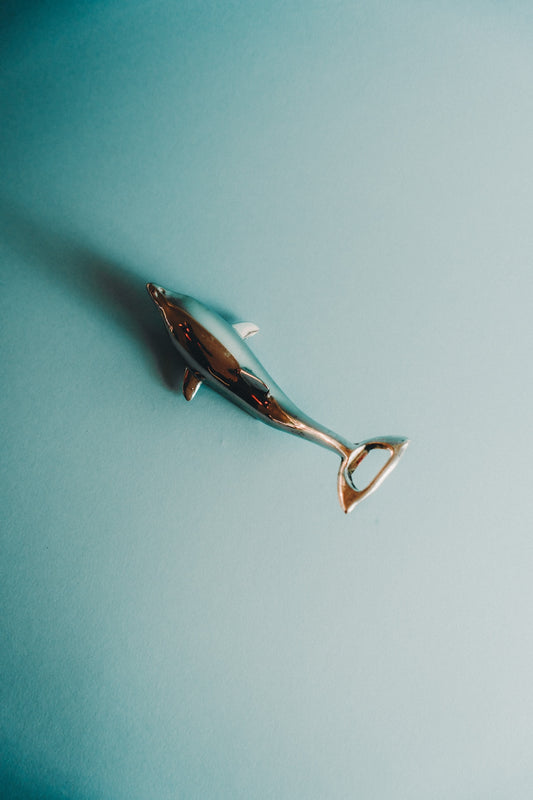 dolphin beer opener