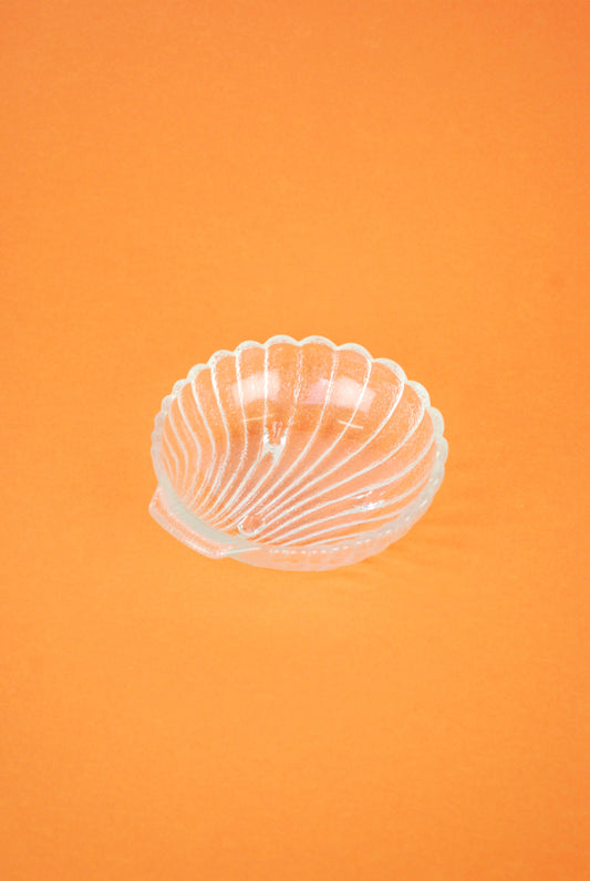 medium shell
