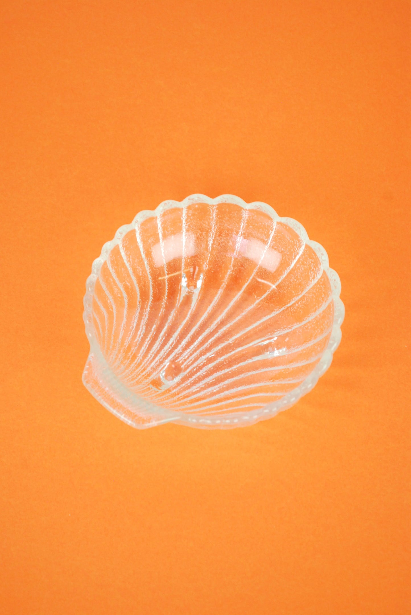 medium shell