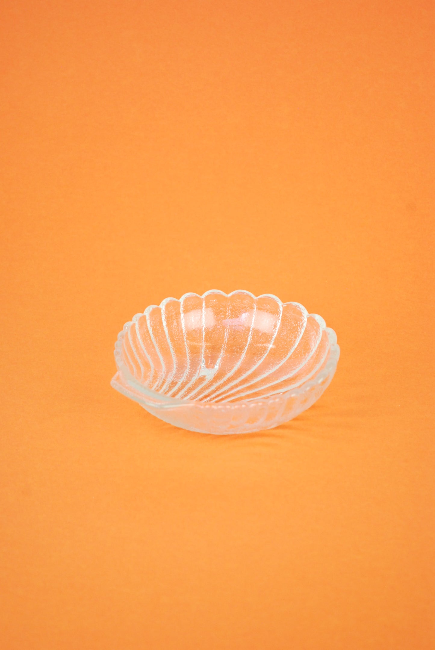 medium shell