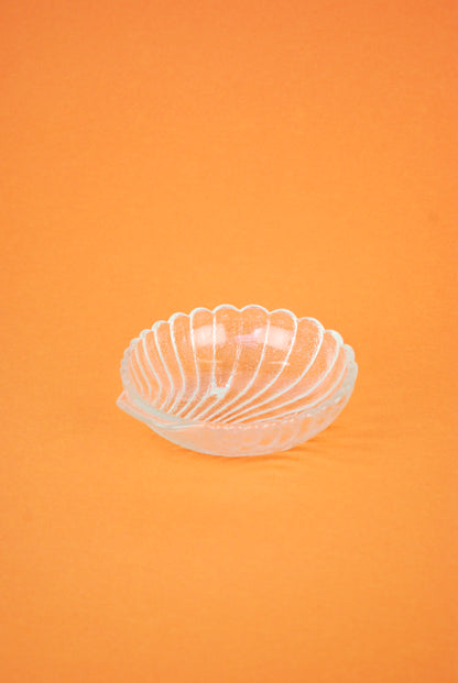 medium shell