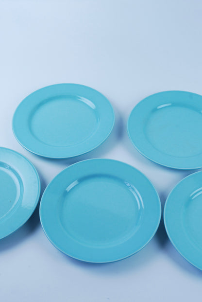 five blue plates