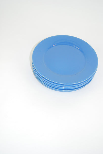 six blue plates