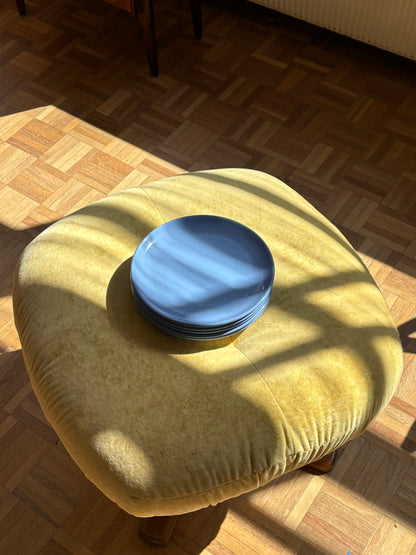 five blue plates