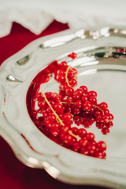 classic stainless steel dish