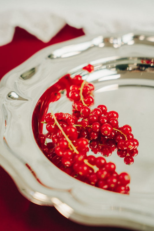 classic stainless steel dish