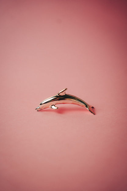 dolphin namecard holders
