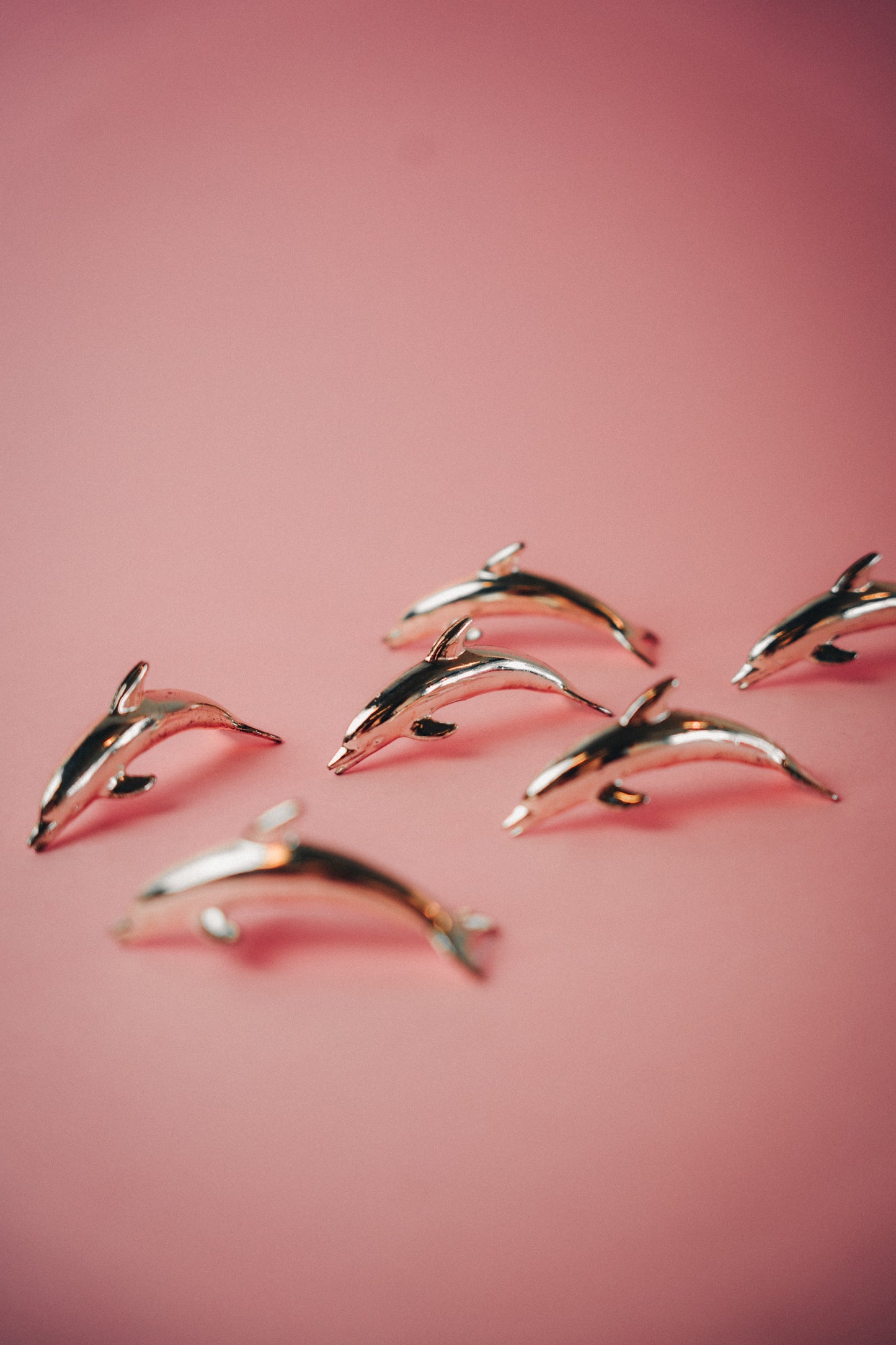 dolphin namecard holders