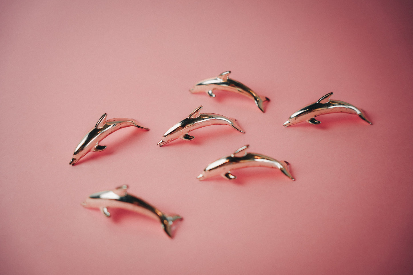 dolphin namecard holders