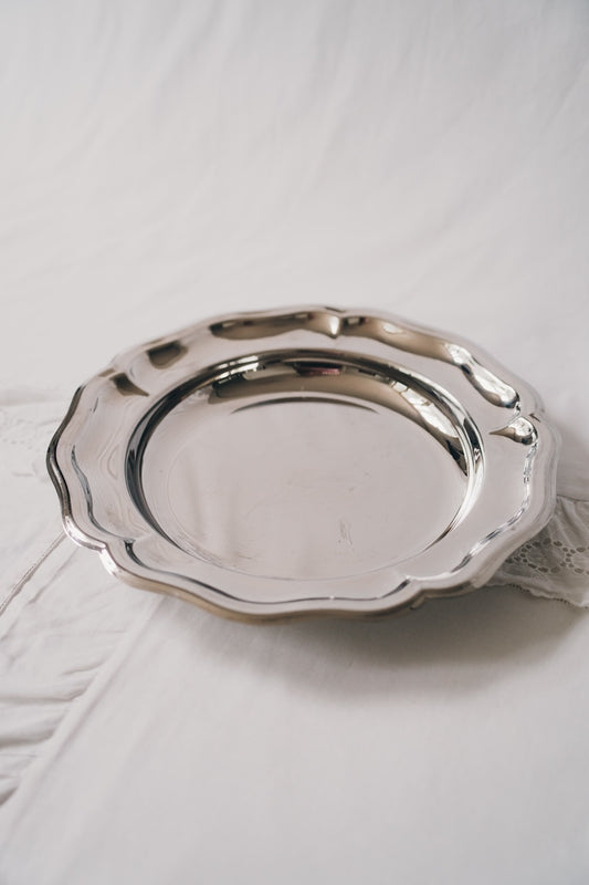 classic stainless steel dish