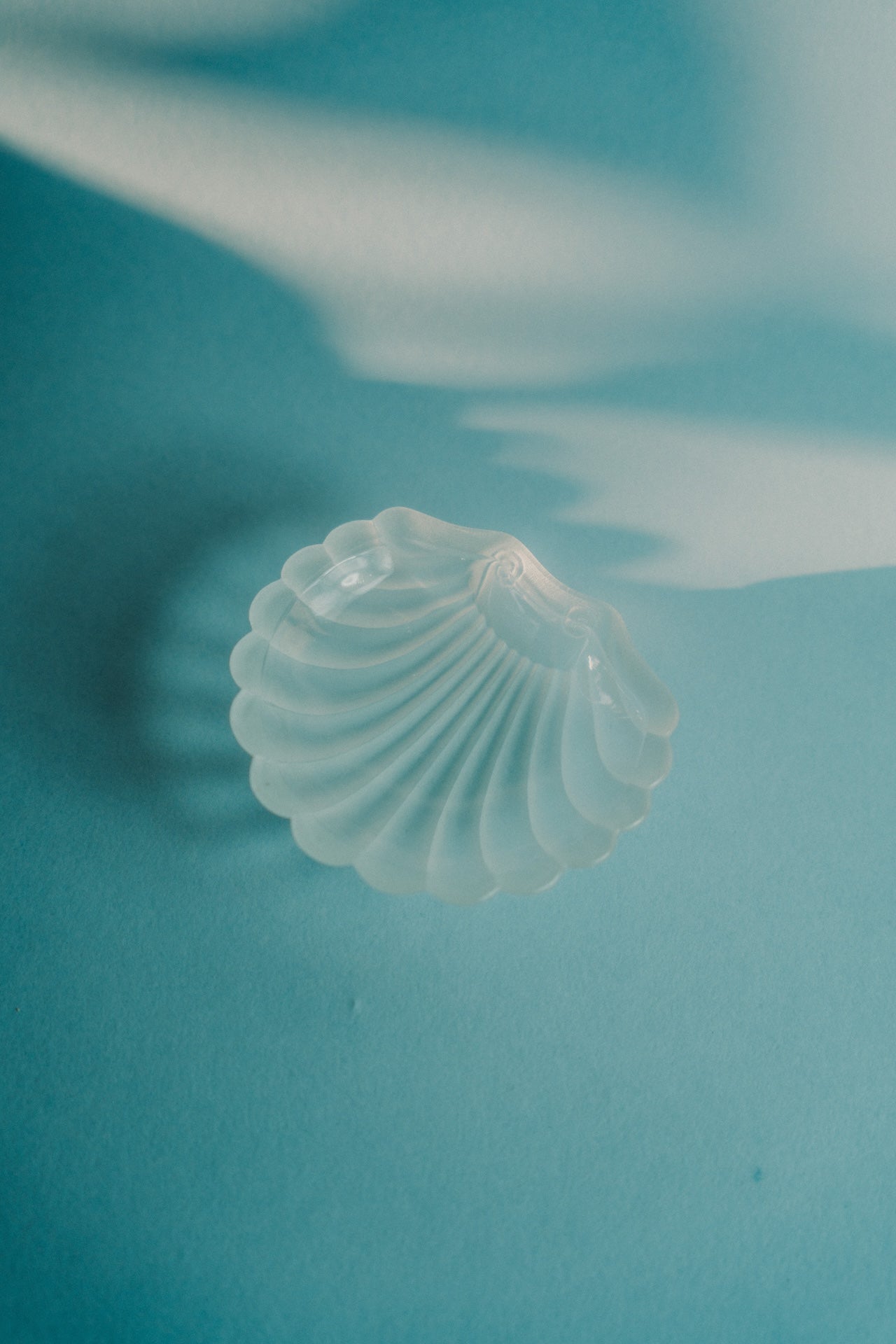 shell butter dish