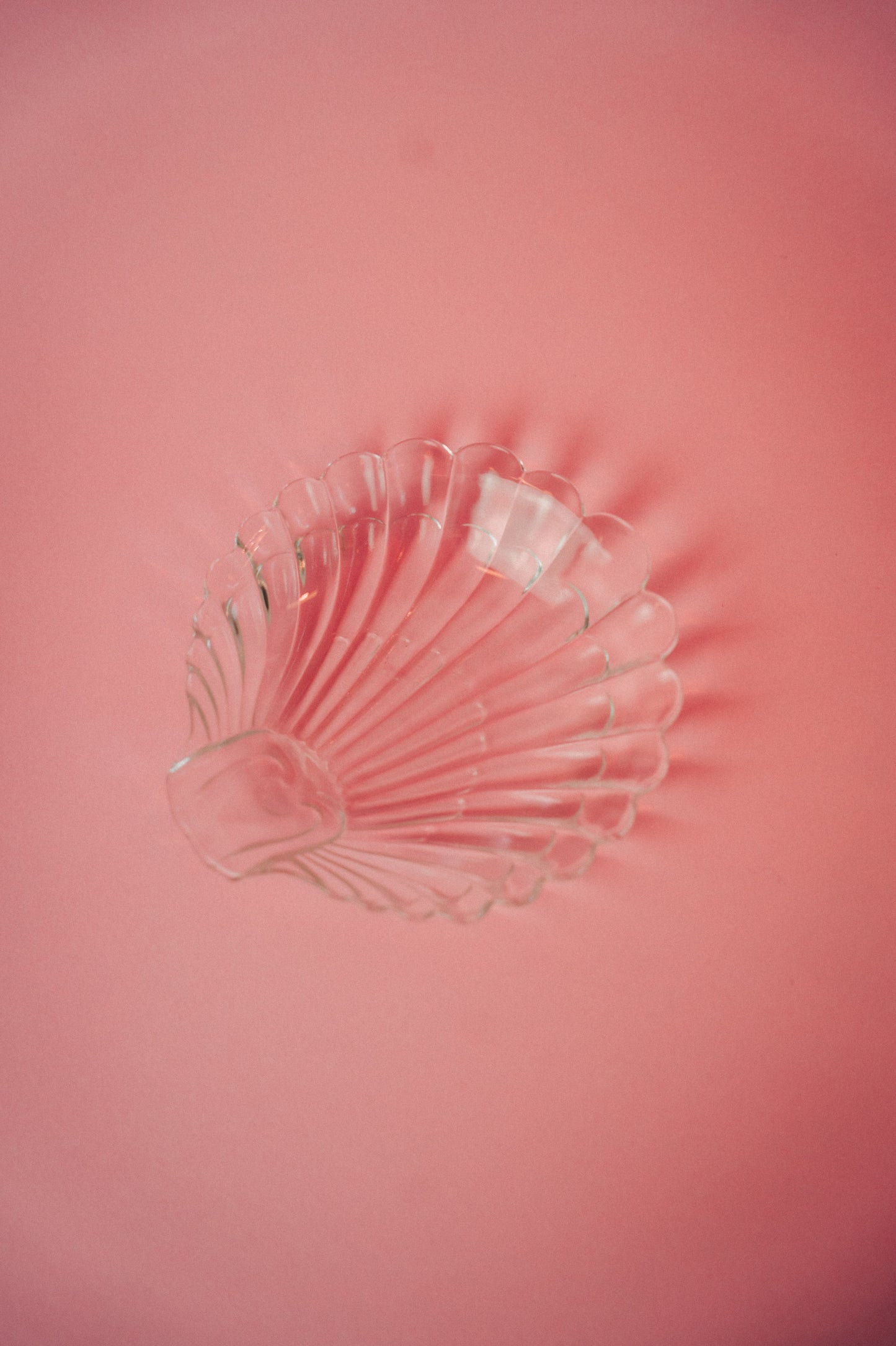 shell dish