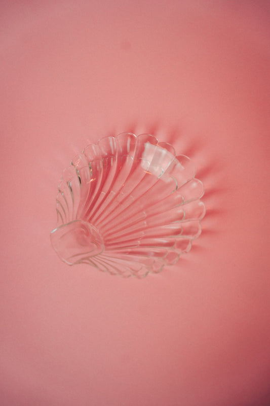 shell dish