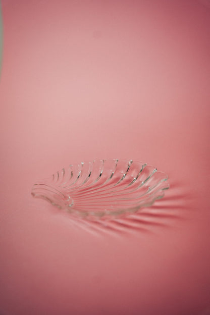 shell dish